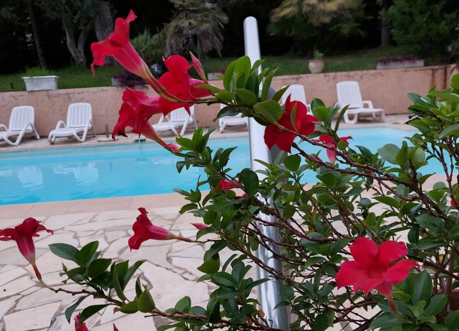 Villa Bruyere Antibes 0*,  France